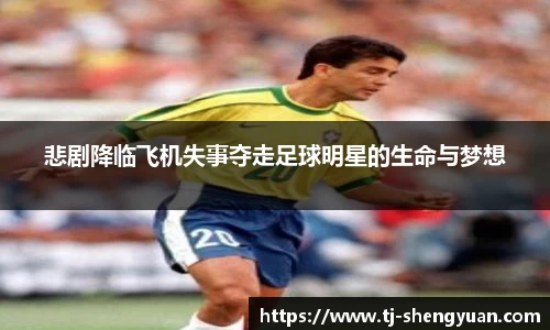 悲剧降临飞机失事夺走足球明星的生命与梦想